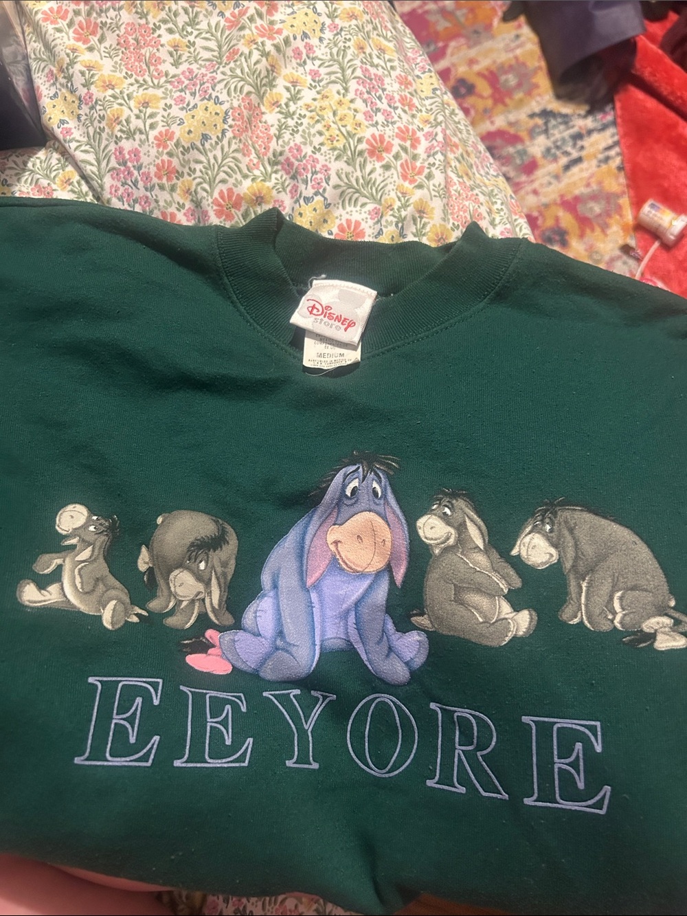 Disney Eeyore Pullover Sweatshirt - Dark Green with Purple Accent